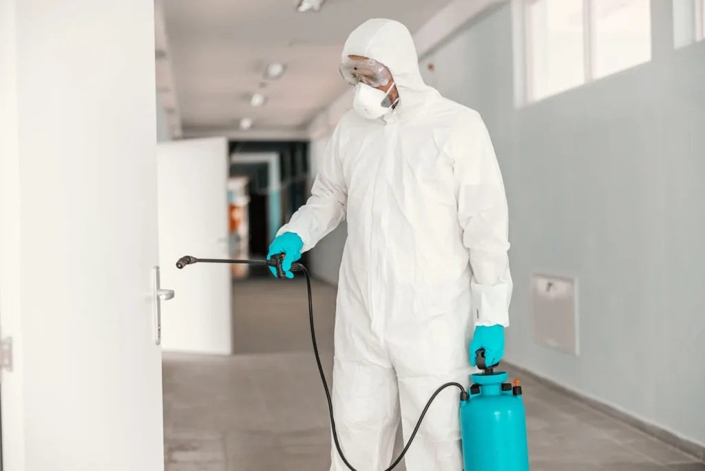 Schadstoffsanierung in Calw