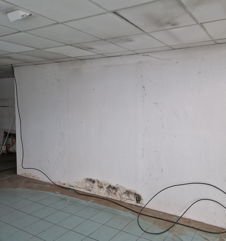 Schimmelsanierung in Böblingen